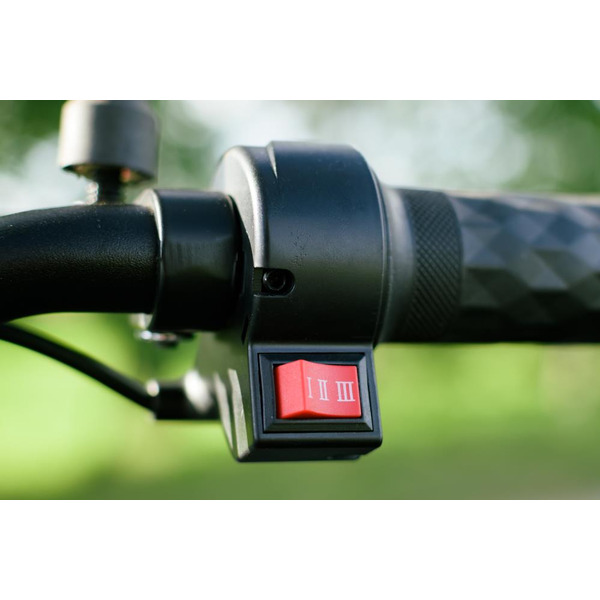 Электровелосипед AVM Delta Lite (красный)