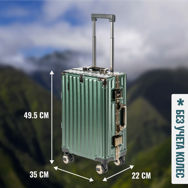 Чемодан DoubleW E087# (S, темно-зеленый)