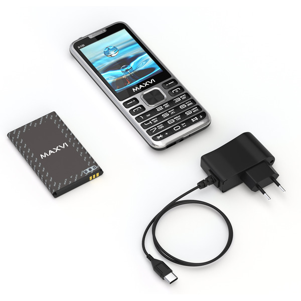 Мобильный телефон Maxvi X10i +ЗУ WC-112 (серебристый)