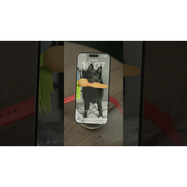 Беспроводное зарядное Magssory Signature Disc Pro для Apple 3 в 1 WCH073 (темно-серый)