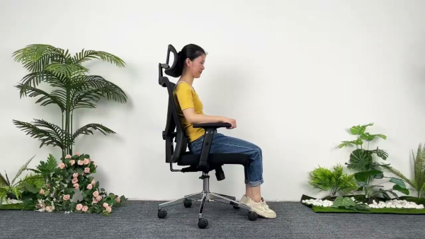 Кресло компьютерное EVOLUTION ErgoLine 2