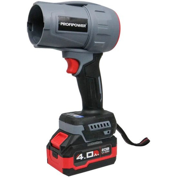 Набор инструментов Profipower ProfiSet-2D20 (воздуходувка, цепная пила)