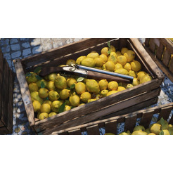 Игра для PS5 Mafia: The Old Country [PS5, русская версия]