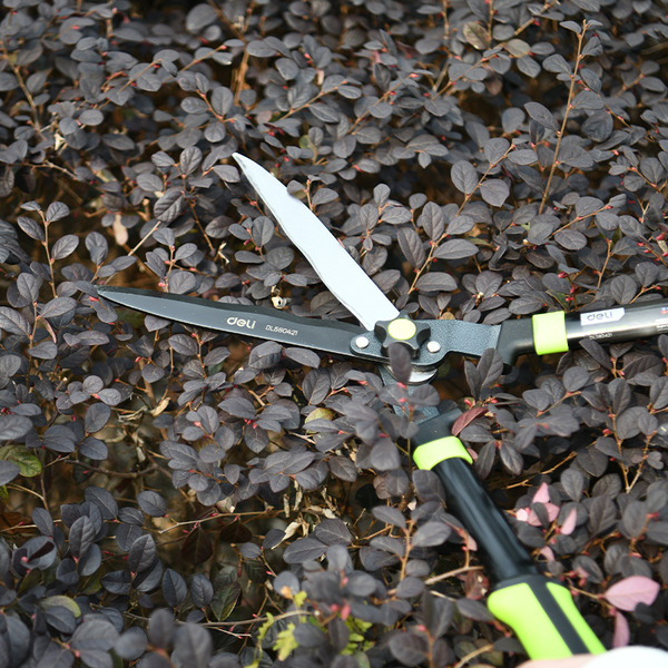 Ножницы садовые Deli EDL580421