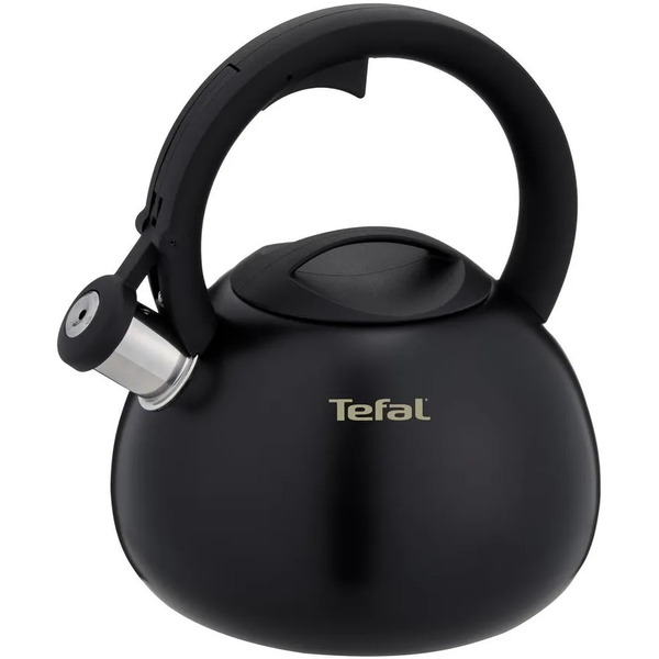 Чайник со свистком TEFAL N4180417