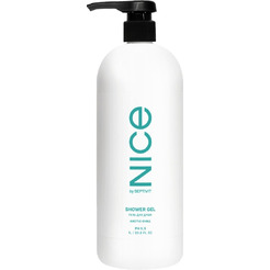 Гель для душа NICE by Septivit Arctic Chill 1л