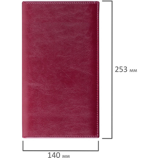 Визитница на кольцах на 240 визиток BRAUBERG 231665