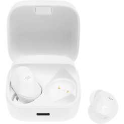 Наушники Sennheiser Accentum True Wireless (белый)