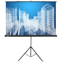 Экран CACTUS Triscreen CS-PST-104x186