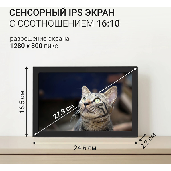 Цифровая фоторамка Digma PF1085B