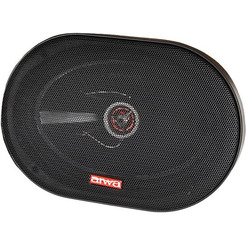 Динамики коаксильные Aiwa ASM-6920