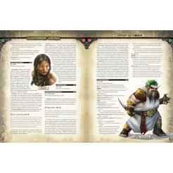 Настольная игра Hobby World Pathfinder. Настольная ролевая игра. Расколотая звезда. Приют безумцев