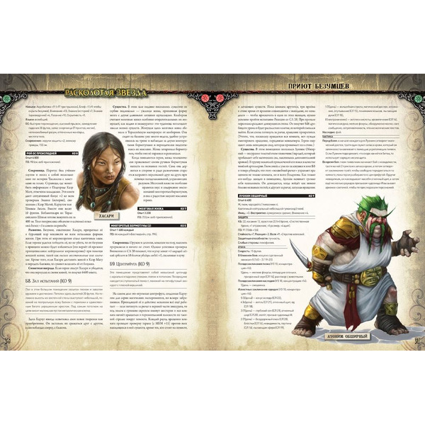 Настольная игра Hobby World Pathfinder. Настольная ролевая игра. Расколотая звезда. Приют безумцев