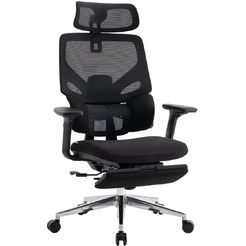 Кресло компьютерное EVOLUTION LumbarPro FR AL