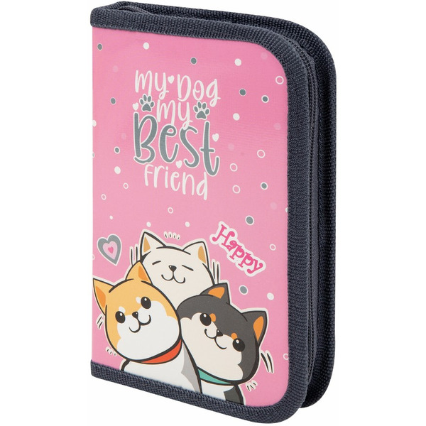 Пенал ПИФАГОР 272240