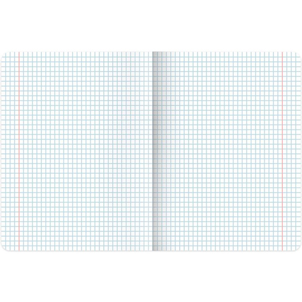 Тетради предметные BRAUBERG 404324 (КОМПЛЕКТ 12 ПРЕДМЕТОВ, 48л, глянцевый УФ-лак)