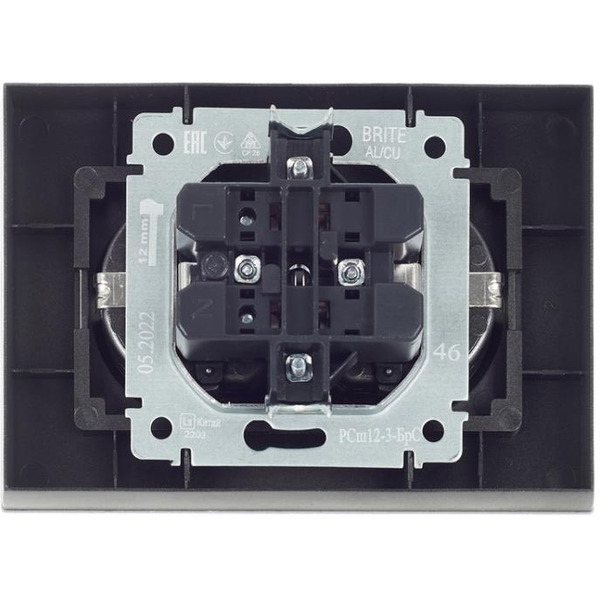 Розетка IEK Brite BR-R21-16-K46-F