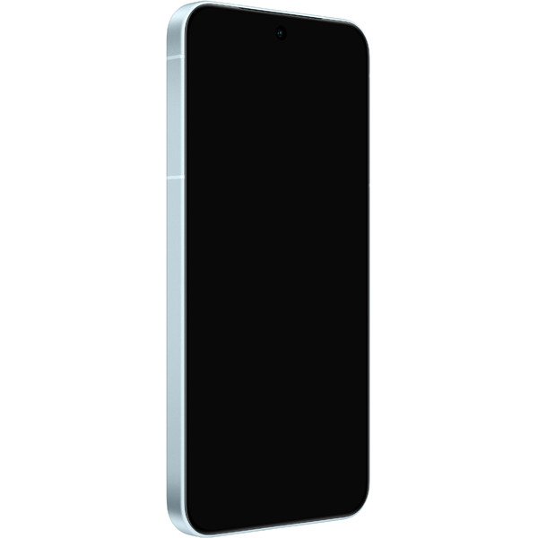 Смартфон vivo X300 V2515 12GB/256GB (голубой)