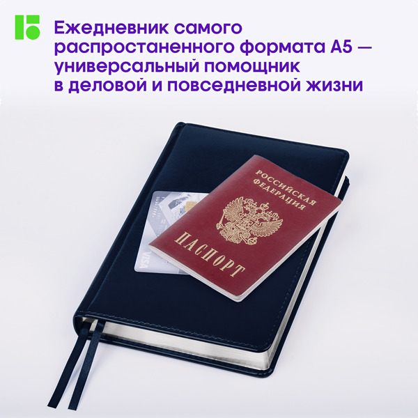 Ежедневник Berlingo Silver Pristine A5 / UD0_82503 (160л, синий)