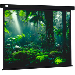 Экран Cactus CS-PSW-213X213-BK