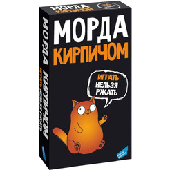 Настольная игра Dream Makers Морда кирпичом 2417C