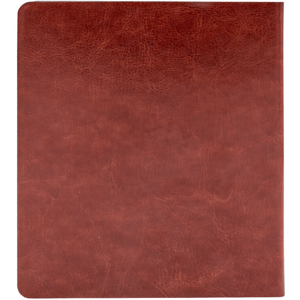 Электронная книга Onyx BOOX Galileo 2