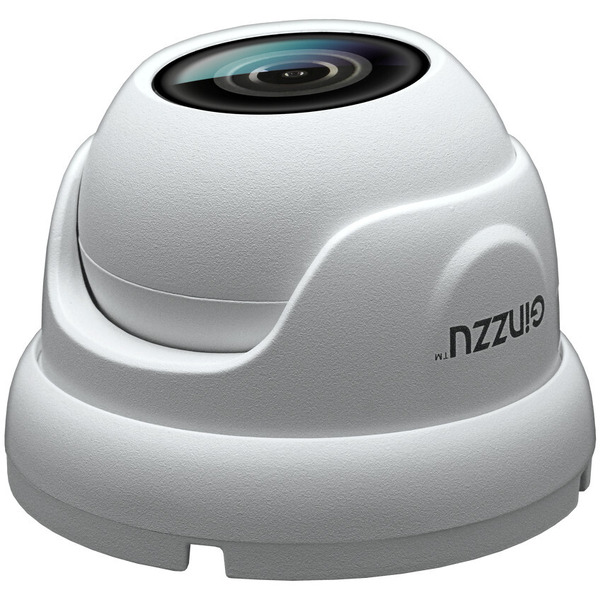 IP-камера Ginzzu HID-5302A