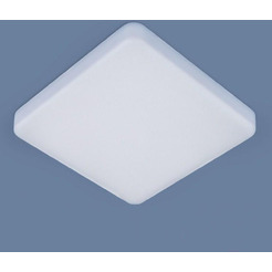 Потолочный светильник Elektrostandard DLS043 10W 4200K