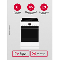 Кухонная плита Hansa FCCW58208