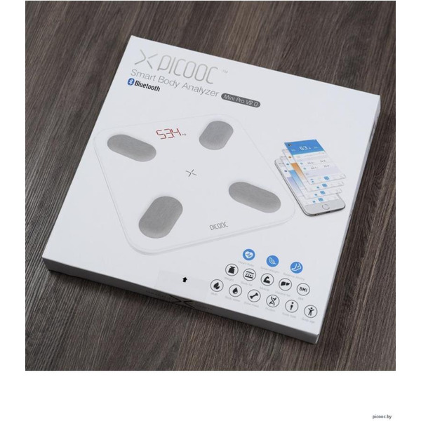 Напольные весы Picooc Mini Pro V2