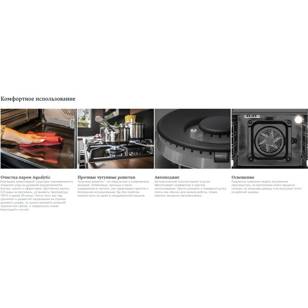 Кухонная плита Hansa FCMW590977