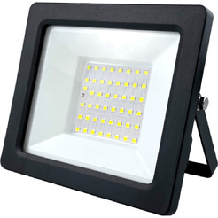 Уличный прожектор ЭРА LPR-042-3-65K-050