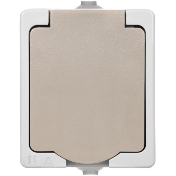 Розетка TDM Вуокса SQ1803-0007