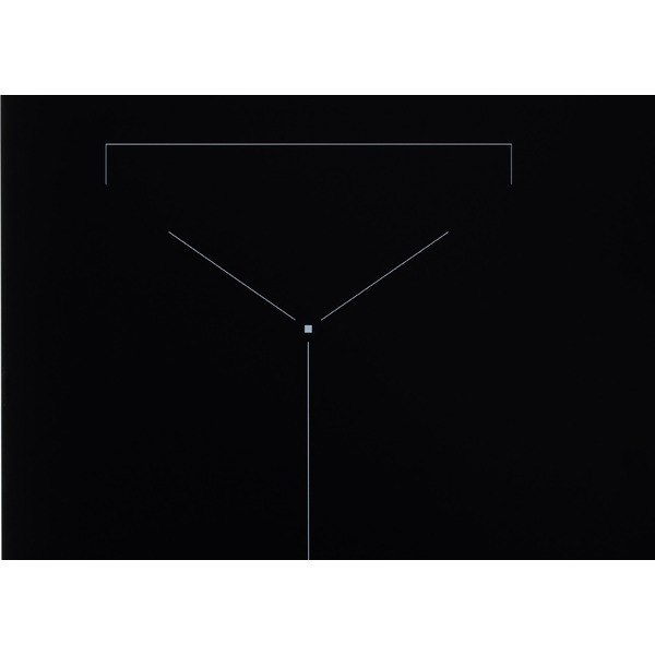 Варочная панель VARD VHI6461K