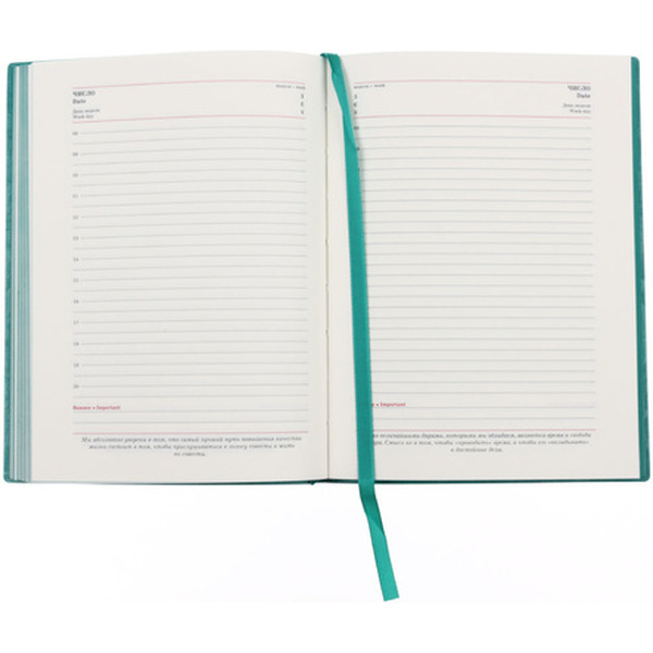 Ежедневник САРИФ БИРЮЗОВЫЙ 45263/А6+, 320стр. ФЕНИКС