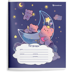 Набор тетрадей Schoolformat ВОЛШЕБНЫЕ МИШКИ ТШЛ12-ВЛМ4 (4 шт)