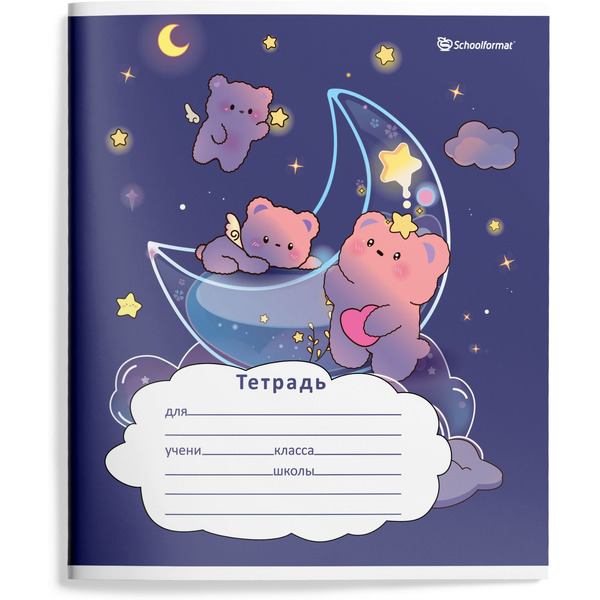 Набор тетрадей Schoolformat ВОЛШЕБНЫЕ МИШКИ ТШЛ12-ВЛМ4 (4 шт)