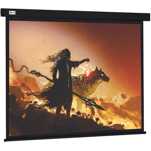 Экран Cactus CS-PSW-149X265-BK