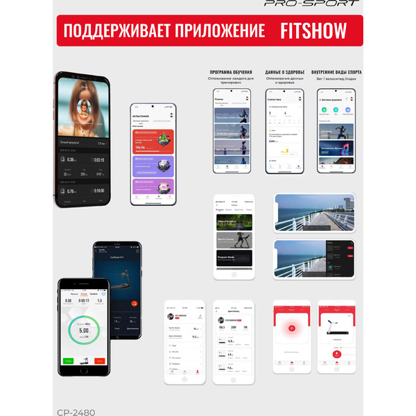 Электрическая беговая дорожка PRO-Sport CP-2480