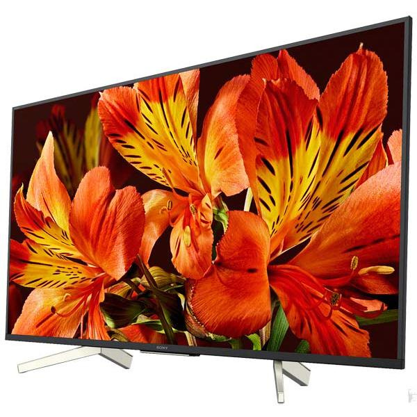 Телевизор SONY KD-65XF8596