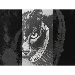 Картина по номерам Флюид Изящная кошка 40x50 QHR0005
