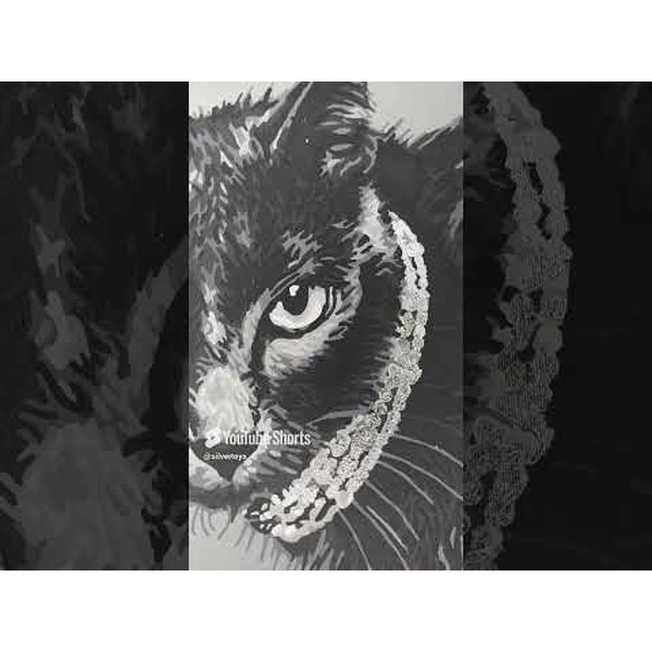 Картина по номерам Флюид Изящная кошка 40x50 QHR0005