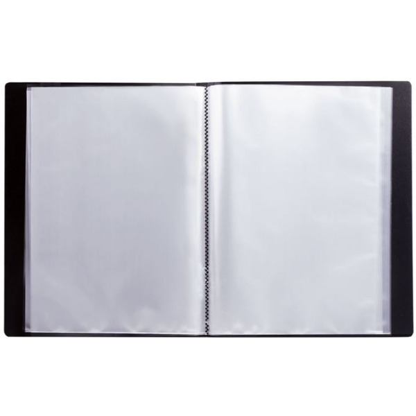 Папка на 100 файлов BRAUBERG 221610