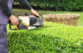 Как выбрать кусторез