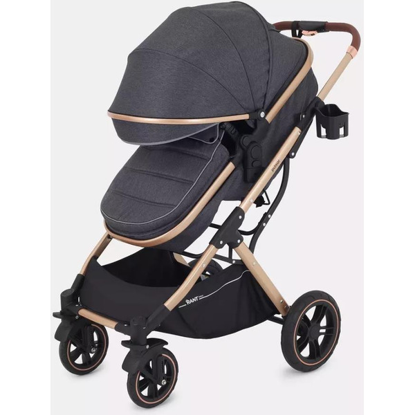 Детская коляска Rant Basic Pulsar Gold 2 в 1 RA160 (Grey)