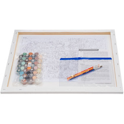 Картина по номерам Белоснежка Жгут пространство железные птицы 309-AB