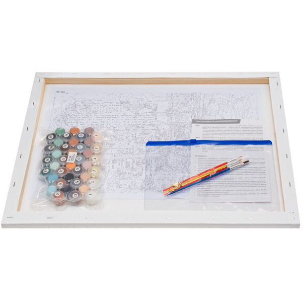 Картина по номерам Белоснежка Жгут пространство железные птицы 309-AB