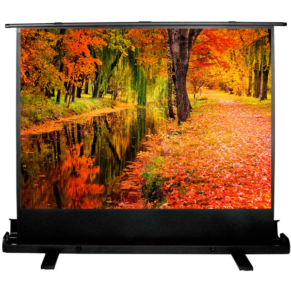 Экран CACTUS FloorExpert 150x200 CS-PSFLE-200X150