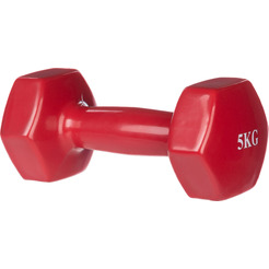 Гантель Sundays Fitness WD1455 (5кг, красный)