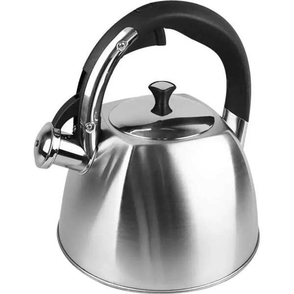 Чайник со свистком ASTIAT AST-1028